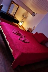 Chambres à louer