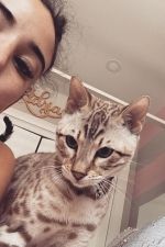 Escorte chaudes disponible maintenant pour des rencontres