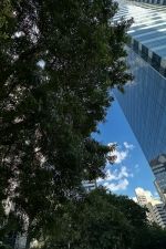 Plaisir, tendresse et complicité – je t’attends