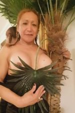 Carmen-Ts Trans Ginebra