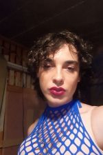 TS Geneva Ts lexata chienne
